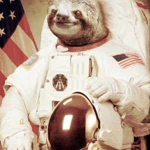 Meet your Posher, Ceasar